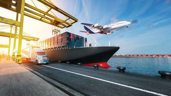 خدمات الشحن البحري الدولية FCL Ocean Freight China إلى فيتنام 20GP 40HQ