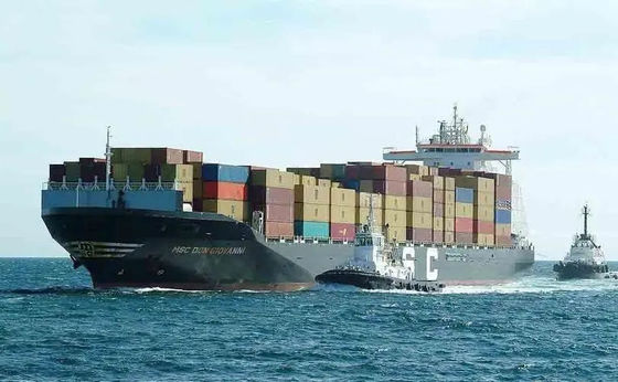 FCL Ocean Container Shipping Forwarder الصين إلى الشرق الأوسط