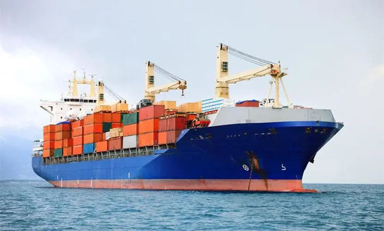 FOB Professional Freight Forwarder الصين إلى الهند 7x24hour
