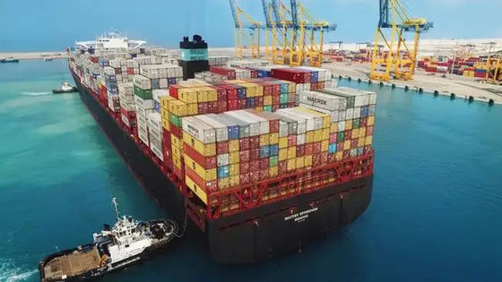 الصين إلى المملكة المتحدة LCL Ocean Freight 20GP 40GP LCL حاوية شحن