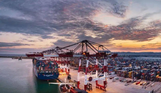 وكيل الشحن البحري الدولي للشحن البحري من الصين إلى فيتنام
