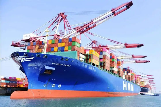 سريع LCL Ocean Freight China إلى Phnom Penh LCL Sea Shipping