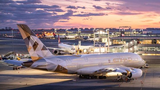 سعر جيد NVOCC International FCL Air Freight China إلى الهند الانترنت