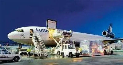 سعر جيد استراحة الشحن الجوي السائبة FCL الشحن البحري نينغبو شنغهاي إلى كندا الانترنت