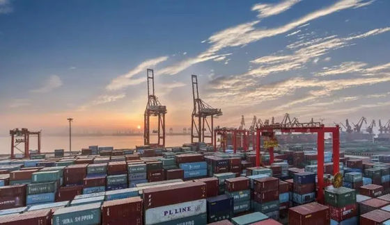 سعر جيد خدمة التخليص الجمركي الصيني لميناء نينغبو لوكيل استيراد الصادرات LCL الانترنت