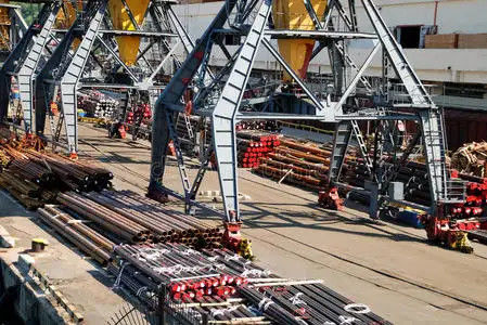 جودة FCL International Ocean Freight Forwarders الصين إلى الشرق الأوسط مصنع