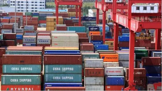 سعر جيد الصين إلى بانكوك LCL Ocean Freight LCL الشحن الدولي EXW FOB الانترنت