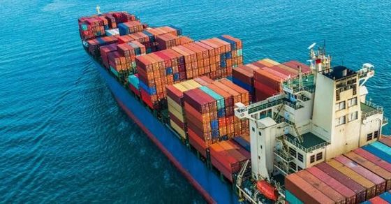 جودة FCL International Ocean Cargo Forwarder Shenzhen إلى كراتشي مصنع